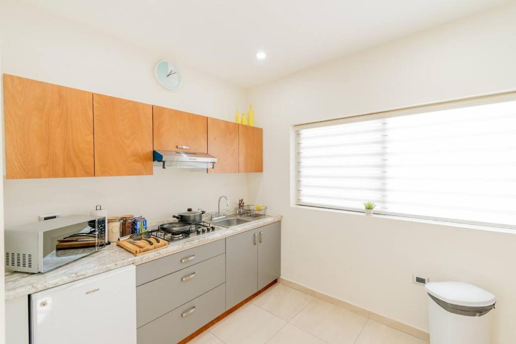 Апартаменты Loft Lujoso Y Moderno Con Cama King En Centrico Historico Дуранго Экстерьер фото